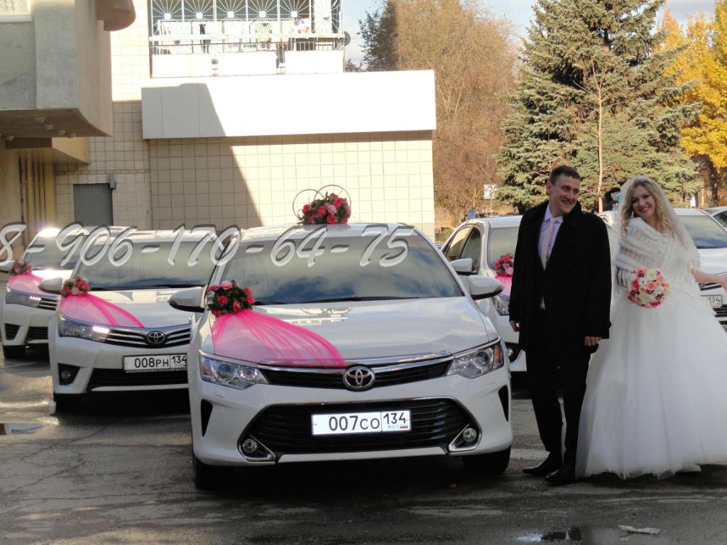 Работаем с любовью! Свадебный кортеж Волгоград - прокат машин на свадьбу, аренда украшений для авто в любой район города, область.