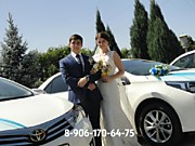 Достойное оформление Вашей свадьбы! Стильные авто и элегантный декор в любой район Волгограда!